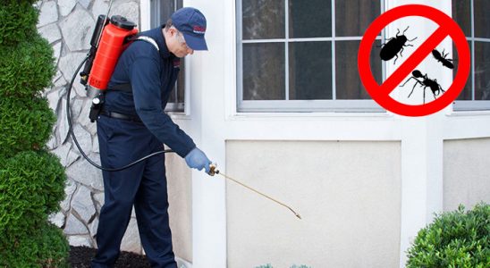 Oğuzeli Hamam Böceği İlaçlama böcek ilaçlama ve haşere kontrolü — ilaclama-tr.com